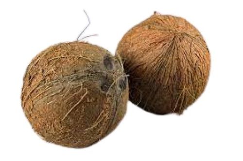 Brown Round Shape Medium Size Matured Fresh Coconut 