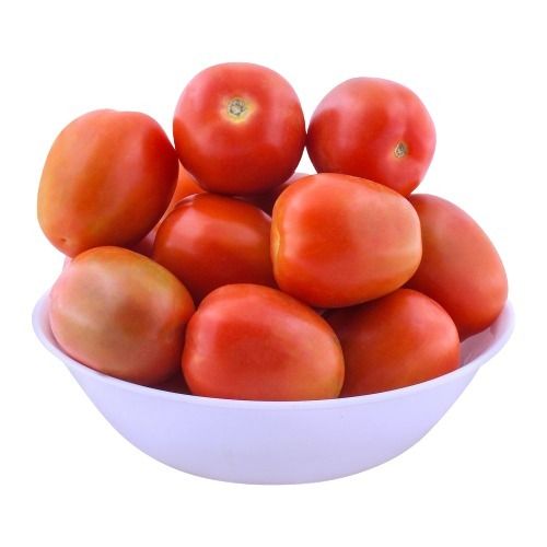 Healthy And Farm Fresh Round Shape Red Raw Tomato