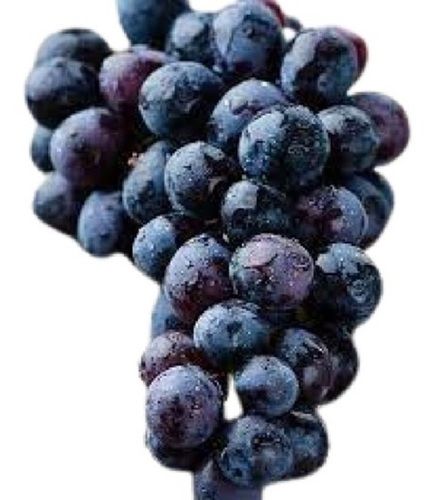 Naturally Grown Round Shape Sweet Black Grapes