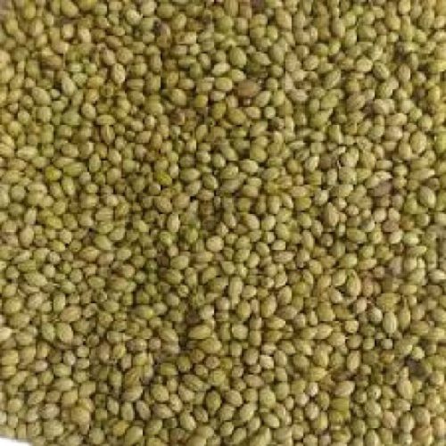 Organic 100% Pure A Grade Quality Natural Dry Coriander Seed