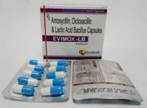 Penicillin Antibiotics Amoxicillin Dicloxacillin And Lactic Acid Bacilus Evimox Lb Capsules Cas No: 61336-70-7