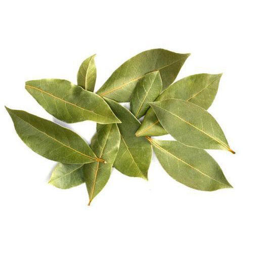 Bay Leaf