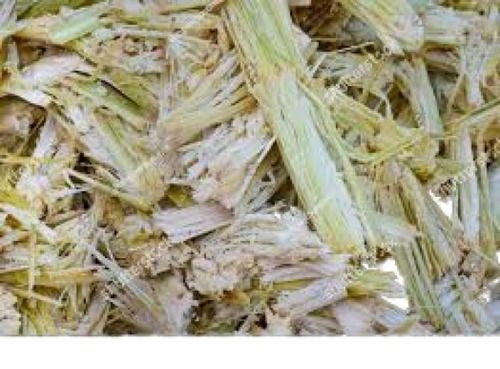 Environment Friendly Green Fresh A Grade Sugarcane Bagasse Application: Water