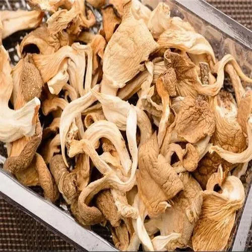 No Preservatives And Non Harmful Dried Oyster Mushroom