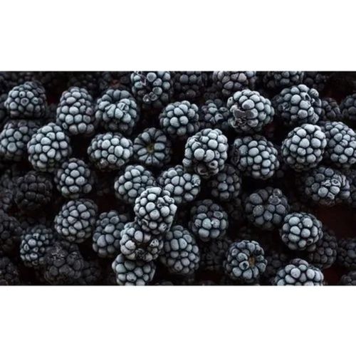 10-15 Mm Fresh Natural Commonly Cultivated Blackberry Fruit For Better Immunity 