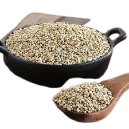 100% Pure Solid Texture Common Cultivation Dried Pearl Millet Broken Ratio (%): 1%