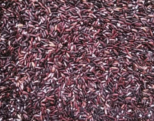 98.9% Purity Short Grain Raw And Dried Commonly Cultivated Black Rice Admixture (%): 1%