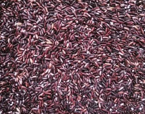 98.9% शुद्धता वाला छोटा अनाज कच्चा और सूखा आम तौर पर उगाया जाने वाला काला चावल 