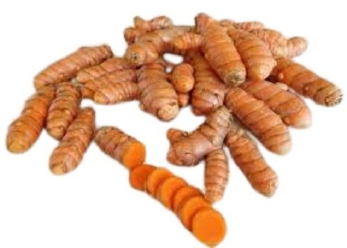 A Grade Yellow Fresh Turmeric