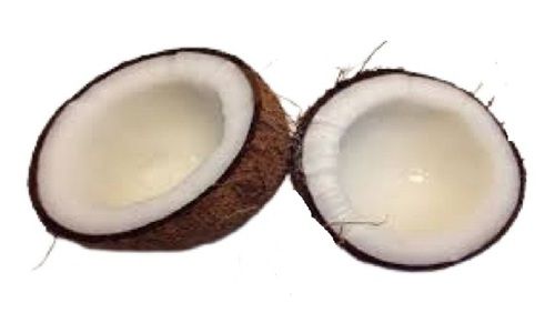 White Brown Round Shape Matured Farm Fresh Fully Husked Coconut