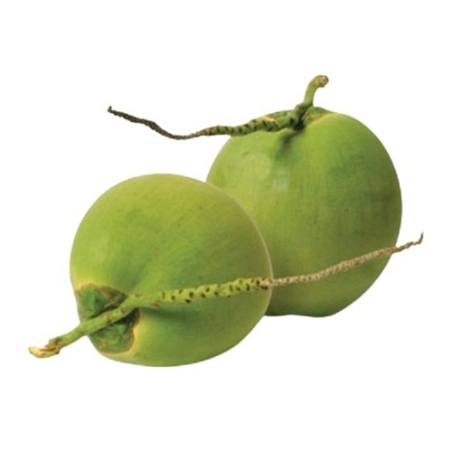 Green Fresh Commonly Cultivated Diamond Shape Young Tender Coconut 