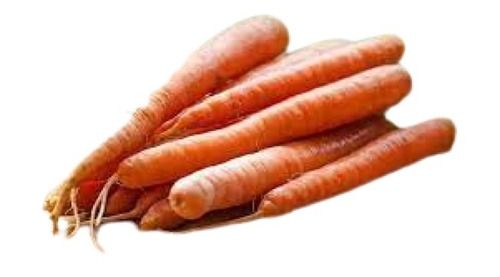 Long Shape Raw Processed Farm Fresh Carrot