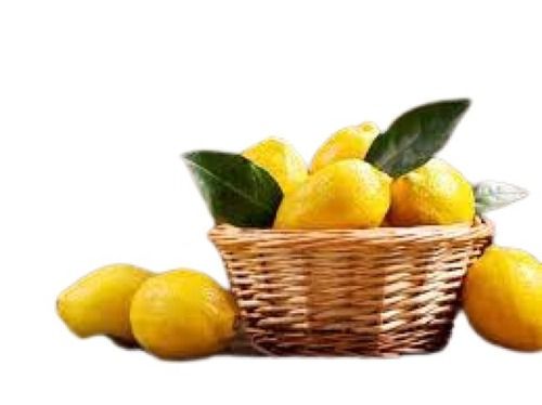 Naturally Grown Fresh Round Shape Lemon Moisture (%): 74%