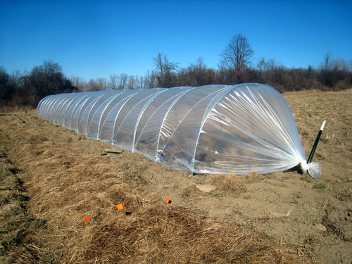 Weather Resistant Waterproof Transparent Plastic Low Tunnel Film For Agricultural Field