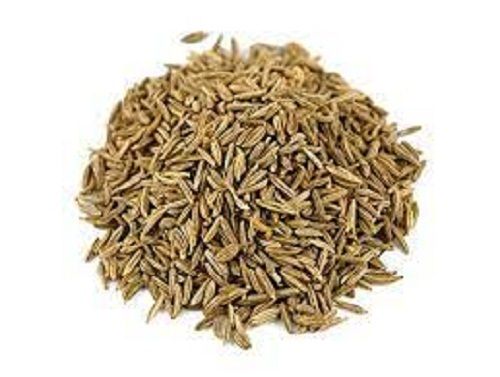 Bitter Taste Raw Processing Cumin Seeds Zeera