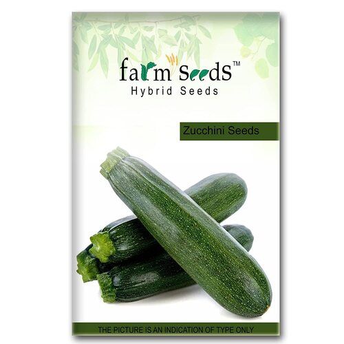 hybrid zucchini seeds  