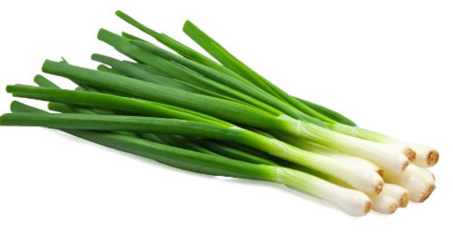 Natural And Fresh Commonly Cultivated Round Raw Spring Onion