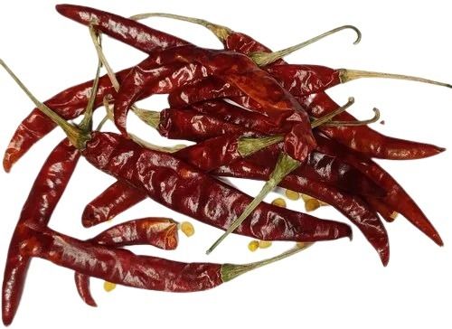 Raw Stick Spicy Dried Organic Red Chili Shelf Life: 6 Months