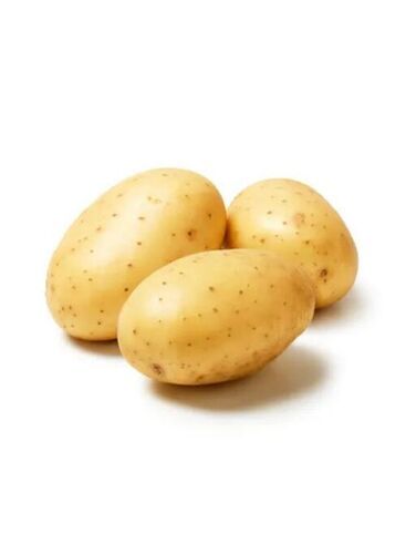 Round/Oval Mild Flavor Fresh Potatoes Use For Cooking And Snacks