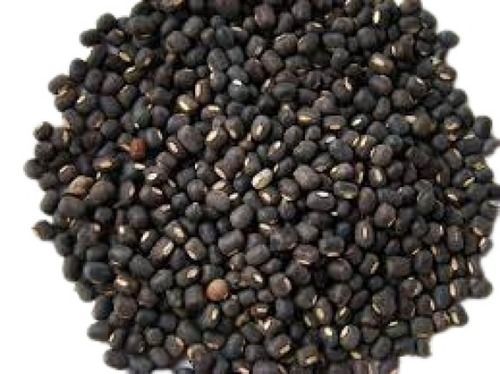 Whole Form Commonly Cultivated 100% Pure Dried Healthy Black Grains