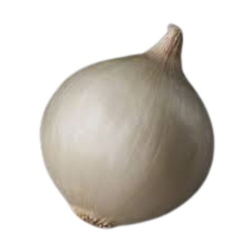 100% Pure And Naturally Grown Round Shape Raw White Onion Preserving Compound: Dry Place