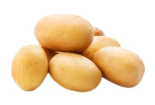 100% Pure Raw Form Oval Shape Naturally Grown Healthy Fresh Potato