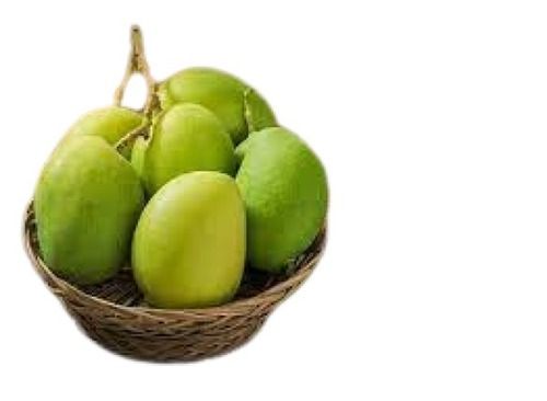  आम तौर पर उगाया जाने वाला भारतीय मूल अंडाकार आकार खट्टा स्वाद ताजा हरा आम 