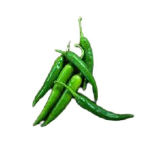 Farm Fresh Naturally Grown Long Shape 86% Moisture Content Green Chillies Shelf Life: 3 Week