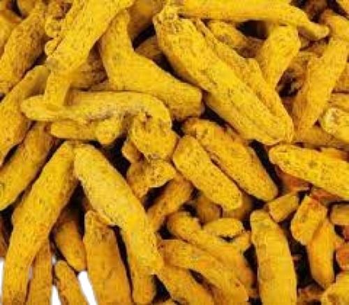 Yellow Fresh Raw A Grade Healthy 1 Kg Pack Fresh Turmeric Fingers