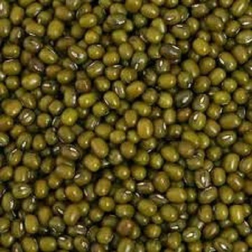 Green Oval Shape Indian Origin Commonly Cultivated Dried 100% Pure Moong