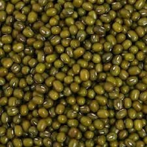 Green Oval Shape Indian Origin Commonly Cultivated Dried 100% Pure Moong Broken (%): 1%