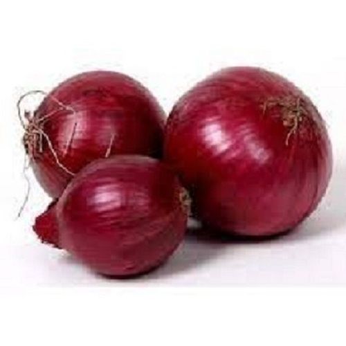 Naturally Grown Round Shape 80% Moisture Raw Onion