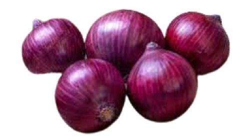 Round Shape Naturally Grown Healthy Spicy Aromatic Raw Onion