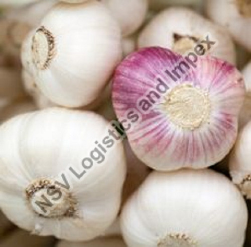 Garlic - 100% Pure A Grade White Garlic Health Friendly Nutrition Enriched Preservative-Free Round Shape Raw Processing Supreme Quality Optimal Shelf Life