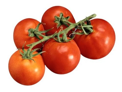 100% Pure Round Shape Naturally Grown Raw Form Fresh Tomatoes