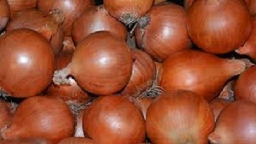 Brown Onion