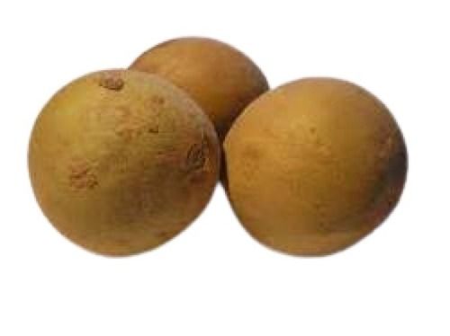 Indian Origin Round Shape Sweet Healthy Fresh Natural Sapota Fruit