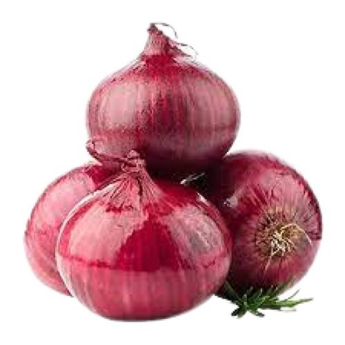 Naturally Grown Highly Nutritious Farm Fresh Round Shaped Raw Red Onion Moisture (%): 86%