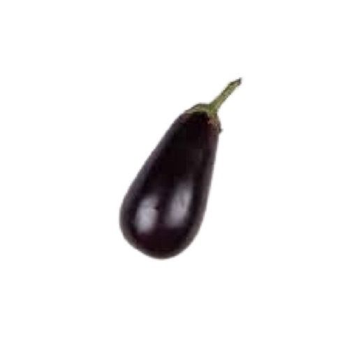 Naturally Grown Raw Oval Shaped Farm Fresh Brinjal Moisture (%): 89.47%