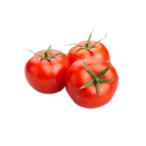 Naturally Grown Round Shape Farm Fresh Red Tomato