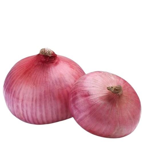 Naturally Grown Round Shape Fresh Red Onions