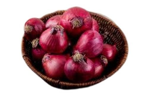 Round Shape Naturally Grown Dry Places Preserved Fresh Red Onion Moisture (%): 80%