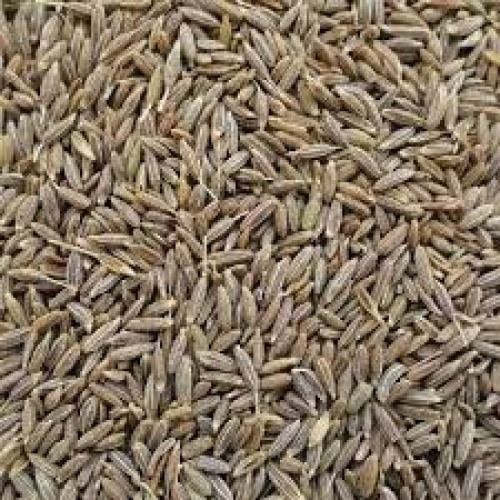 A Grade Rich In Iron Healthy Raw Processed Dried Cumin Seeds