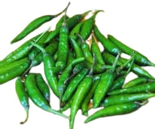 Naturally Grown Farm Fresh Spicy Long Green Chilies Preserving Compound: Cool