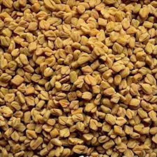 Organic Fenugreek Seeds