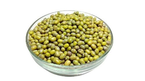 100% Pure Dried Oval Shape Green Moong