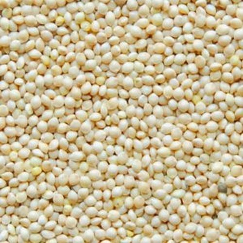 100% Pure Millet