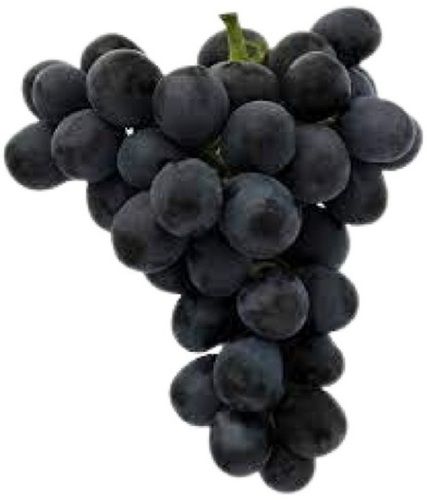 Common Black Grapes