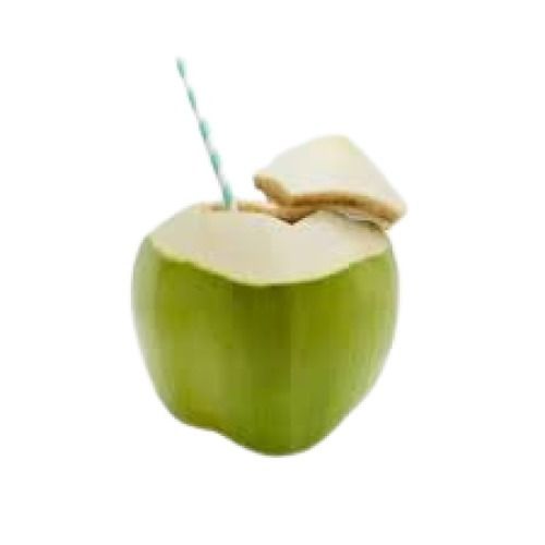 Green Diamond Shape Semi-Husked Whole Fresh Tender Coconut 