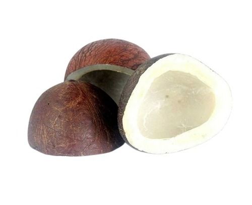 Dried Brown Young Coconut